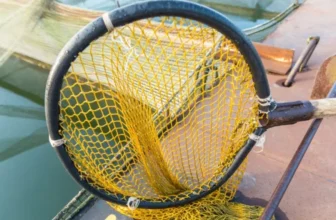 Which Types of Nets Work Best for Handling Fish?