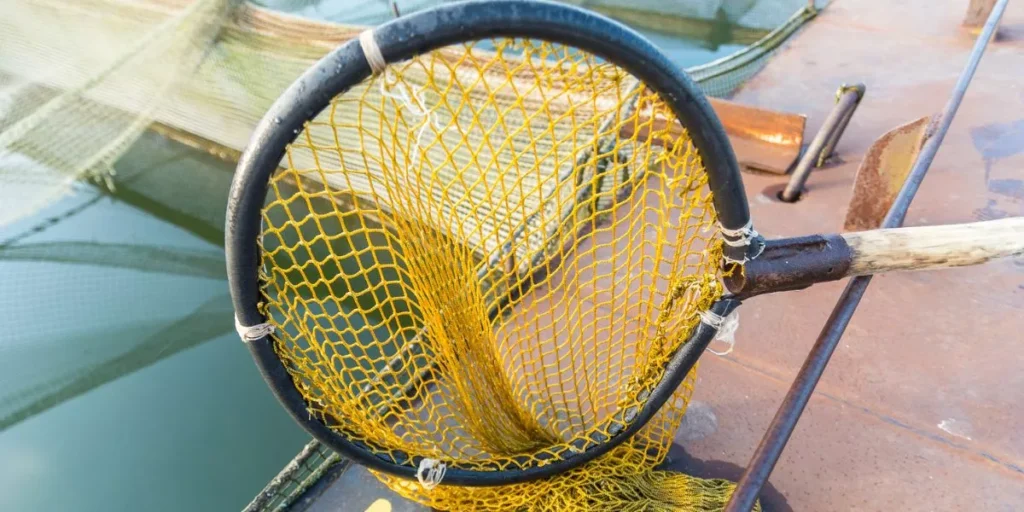 Which Types of Nets Work Best for Handling Fish? Which Types of Nets Work Best for Handling Fish?