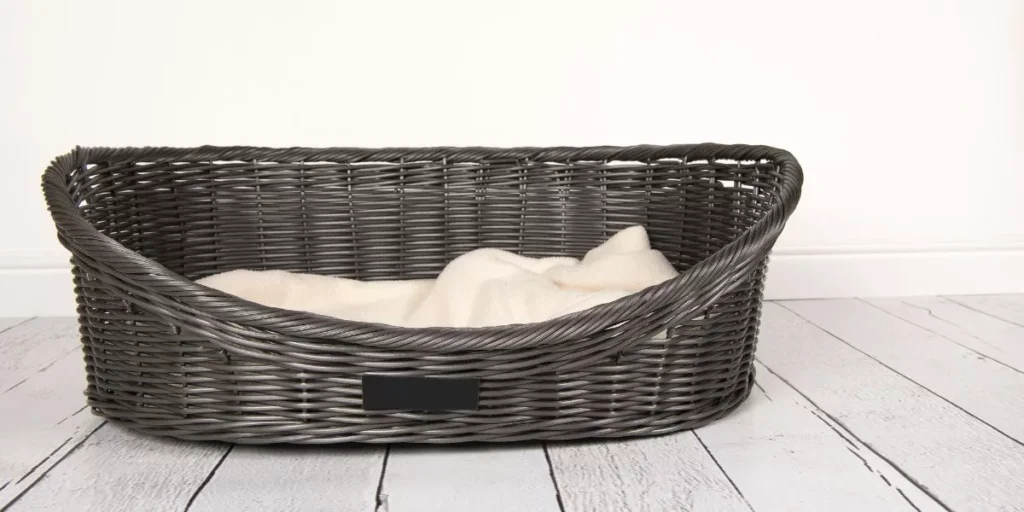 How Can You Choose the Right Outdoor Bed for Your Pet?
