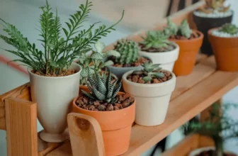 How Do You Safely Lift Heavy Pots and Bags of Soil?