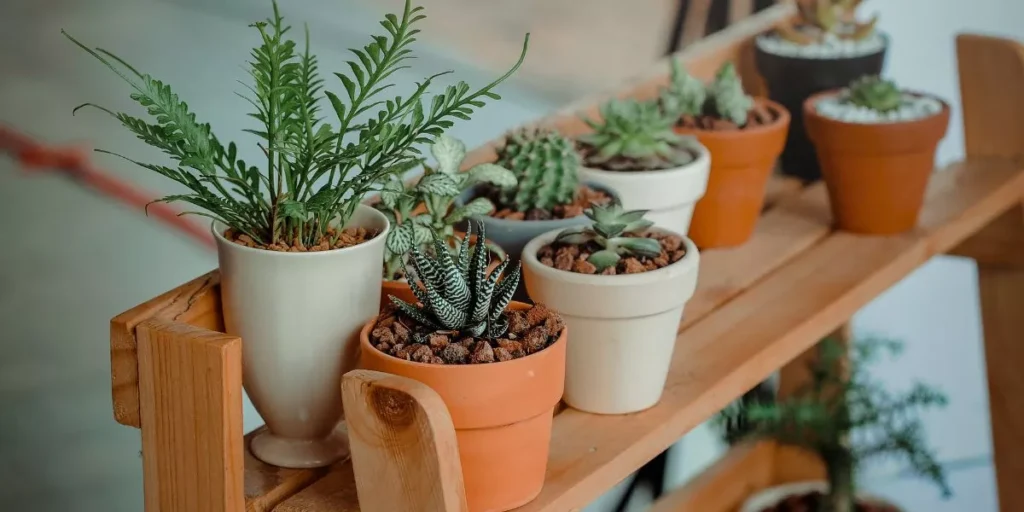 How Do You Safely Lift Heavy Pots and Bags of Soil? How Do You Safely Lift Heavy Pots and Bags of Soil?