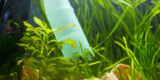 Why Are Air Pumps Necessary for Aquariums?